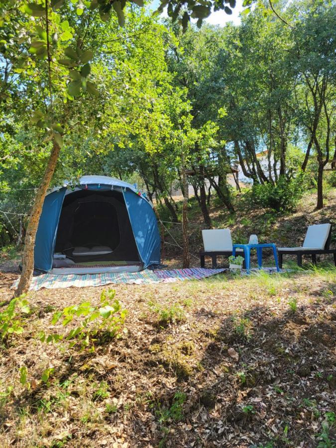 Quinta Da Choupana Hotel Tomar Kültér fotó