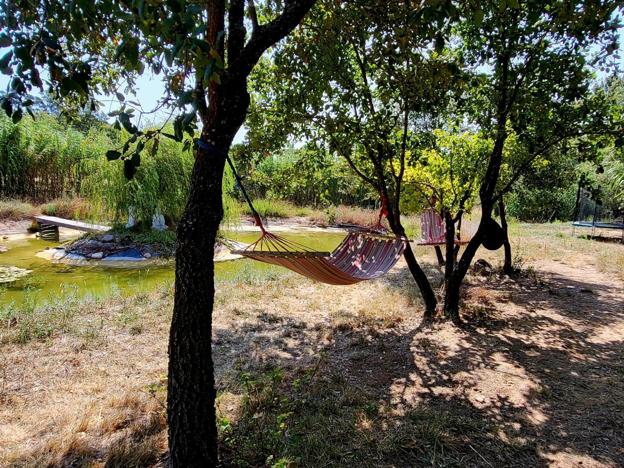 Quinta Da Choupana Hotel Tomar Kültér fotó
